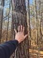 00 Happy Hollow Road - Photo 15