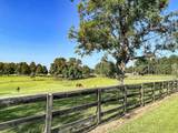 14912 Hwy 35 S (Ms-35) - Photo 71