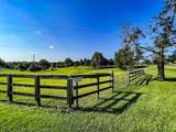 14912 Hwy 35 S (Ms-35) - Photo 72