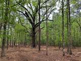 TBD Cr 255 (Lafayette County) - Photo 10