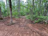 TBD Cr 255 (Lafayette County) - Photo 17
