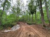 TBD Cr 255 (Lafayette County) - Photo 18