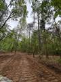 TBD Cr 255 (Lafayette County) - Photo 20
