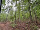 TBD Cr 255 (Lafayette County) - Photo 24
