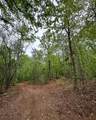 TBD Cr 255 (Lafayette County) - Photo 25