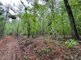 TBD Cr 255 (Lafayette County) - Photo 27