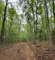 TBD Cr 255 (Lafayette County) - Photo 28