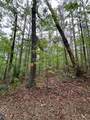TBD Cr 255 (Lafayette County) - Photo 36