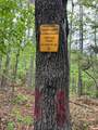 TBD Cr 255 (Lafayette County) - Photo 37