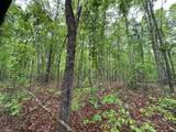 TBD Cr 255 (Lafayette County) - Photo 39