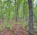 TBD Cr 255 (Lafayette County) - Photo 40