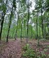 TBD Cr 255 (Lafayette County) - Photo 41