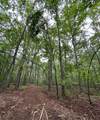 TBD Cr 255 (Lafayette County) - Photo 42