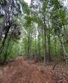TBD Cr 255 (Lafayette County) - Photo 46