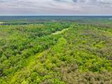 51.7 ac County Road 56 - Photo 11