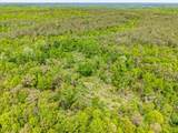 51.7 ac County Road 56 - Photo 15