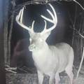 51.7 ac County Road 56 - Photo 2