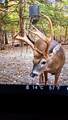 51.7 ac County Road 56 - Photo 3