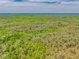 51.7 ac County Road 56 - Photo 8