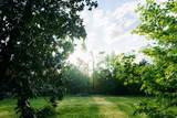 16 Cr 2055 - Photo 56