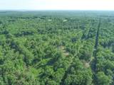 tbd Wayne Massey - Photo 32