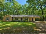 358 County Road 550 (Shady Hill Circle) - Photo 1