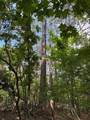 80 County Road 5009 - Photo 6