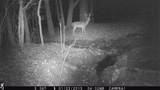 672 Highway 6 E - Photo 36