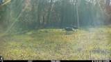 672 Highway 6 E - Photo 38