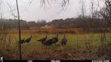 672 Highway 6 E - Photo 39
