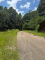 102 Mountain Leader Trail - Photo 5