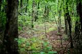 51 Cr 469 - Photo 55