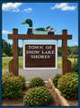 979 Snow Lake Drive - Photo 49
