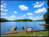 979 Snow Lake Drive - Photo 53