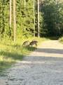 32 County Road 385 - Photo 29