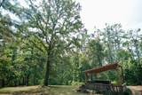 226 Timber Ln - Photo 60
