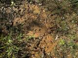 1765 Chapel Town Road - Photo 104