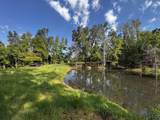 1765 Chapel Town Road - Photo 115