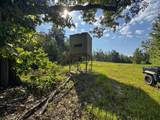 1765 Chapel Town Road - Photo 117