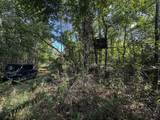 1765 Chapel Town Road - Photo 125