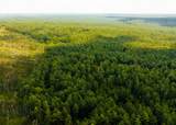00 County Road 428 - Photo 19
