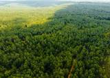 00 County Road 428 - Photo 20