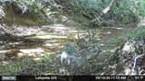 00 County Road 428 - Photo 3