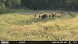 00 County Road 428 - Photo 38