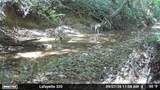 00 County Road 428 - Photo 39