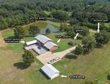 24769 Hwy 315 E - Photo 10