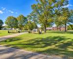24769 Hwy 315 E - Photo 6