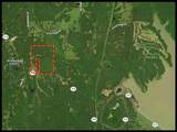 24769 Hwy 315 E - Photo 8