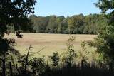 0 County Road 129 - Photo 17