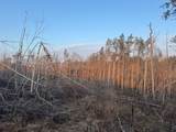 00 County Road 82 - Photo 9